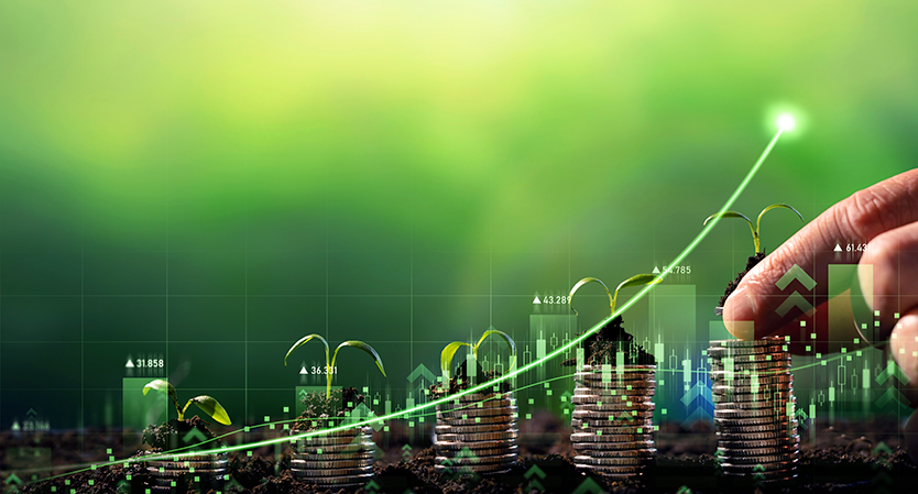 Estrategia de Movilización de Financiamiento Sostenible