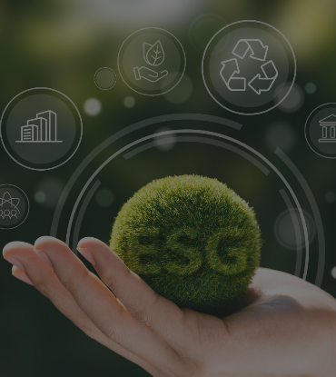 ESG industry Group